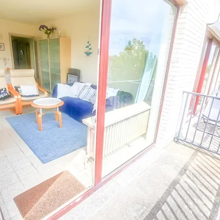 Cavalino 0301 * 코크시데